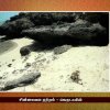 Historical Places